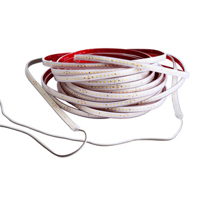 LED Stripes ab IP44 bei EMG Elektromeister Martin Gottschalk in Wallhausen